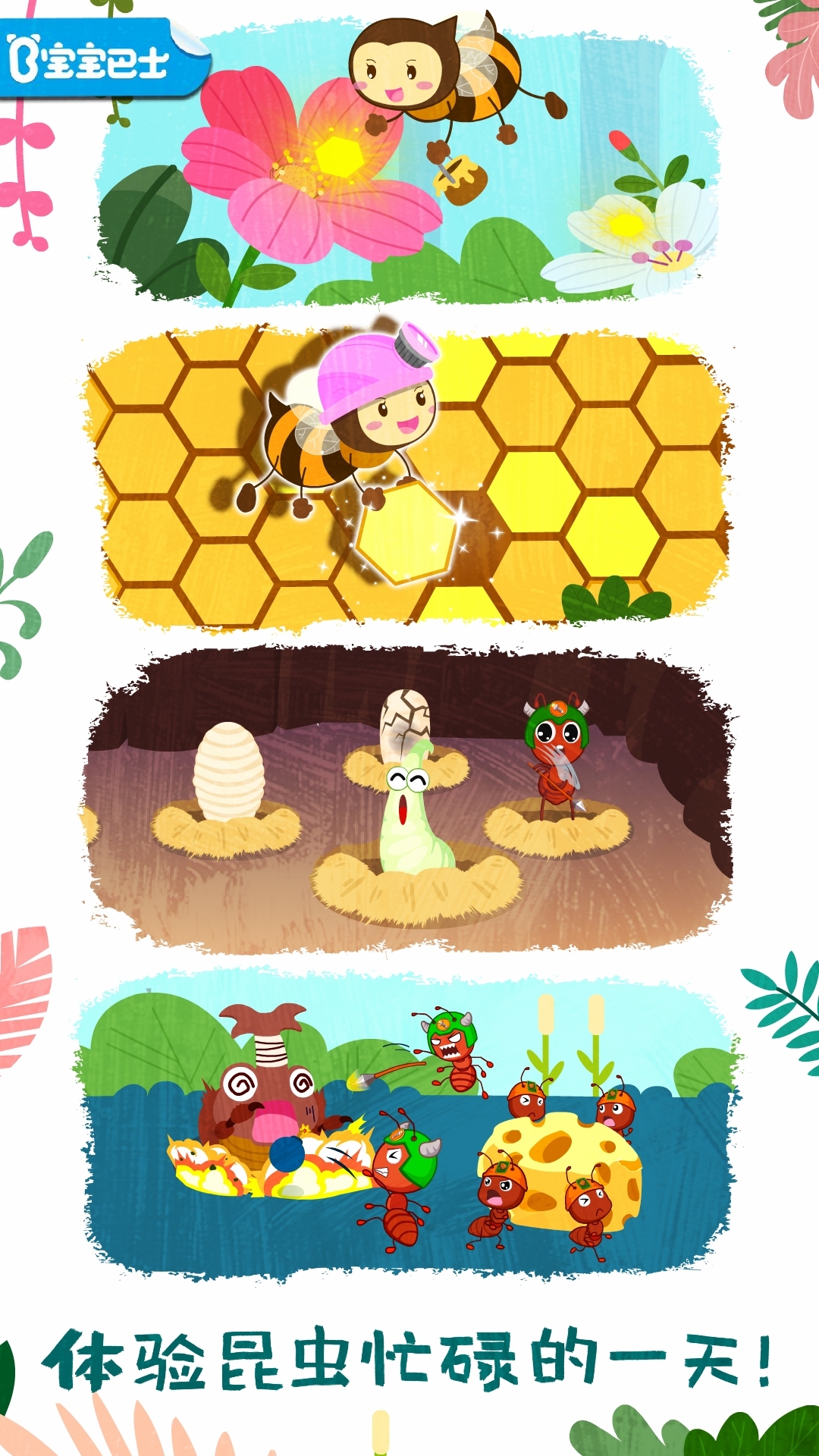 奇妙昆虫世界app