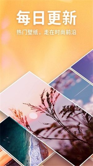 灵猫来电锁屏动态主题壁纸头像app