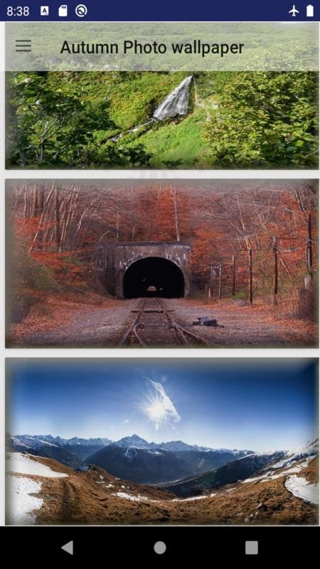 秋照壁纸（Autumn Photo wallpaper）app