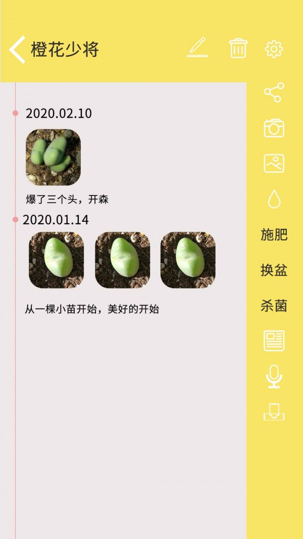 多肉花草日记App