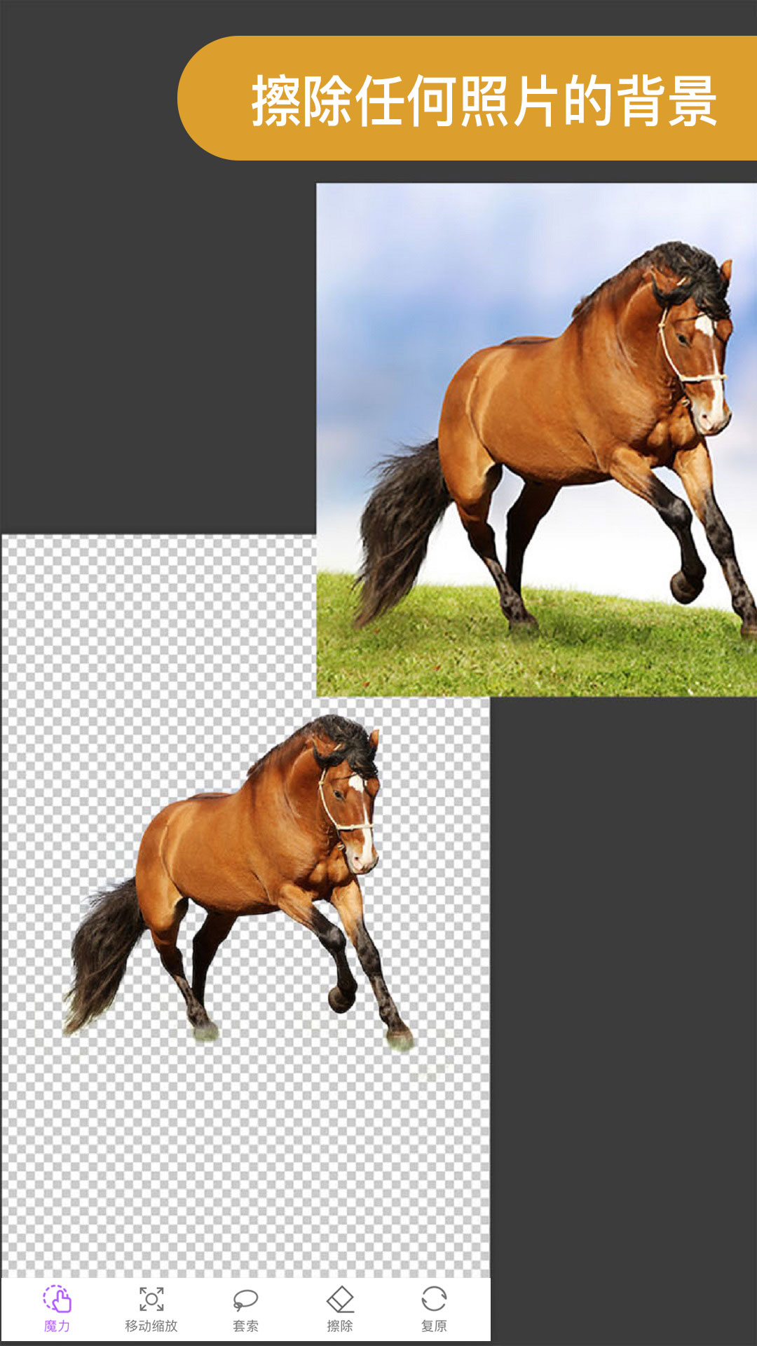 ProKnockout智能抠图P图app