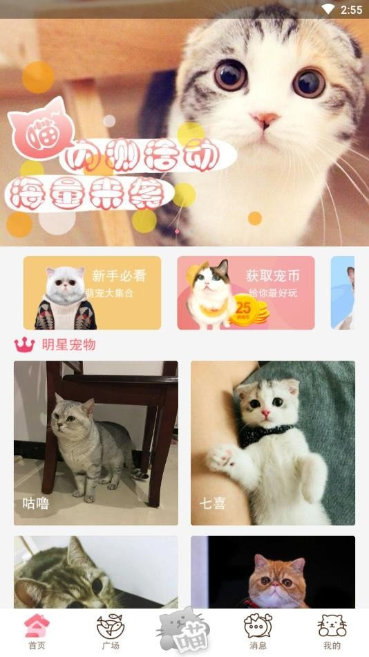 猫咪汇App
