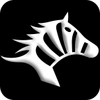 斑马快跑app