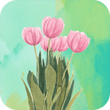 高清氧气壁纸app