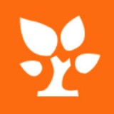 金数据客户端app