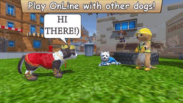 美国Zoom动物游戏下载