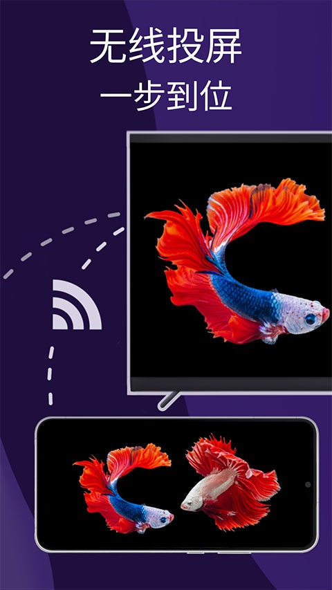 雨燕投屏app下载