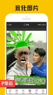 P图大师专业版下载