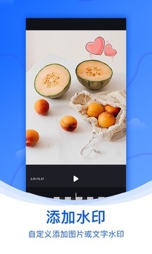 水印侠免费版本