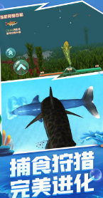 海洋霸主进化记