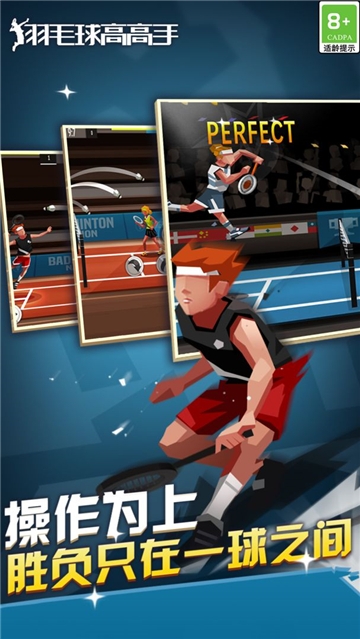 羽毛球高高手下载