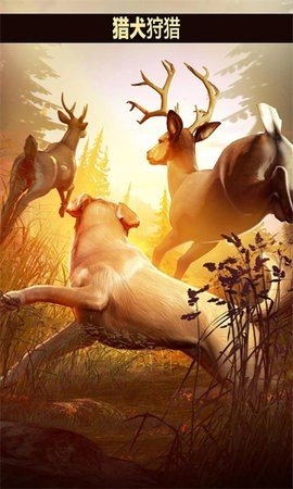 猎鹿人狩猎方式手游