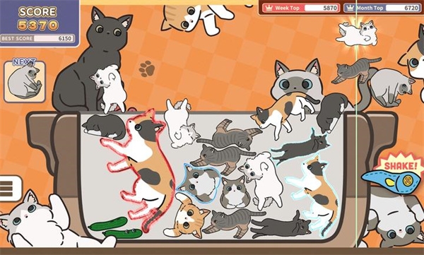 猫咪三重奏手机版免费下载