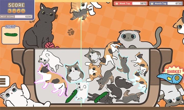 猫咪三重奏手机版免费下载