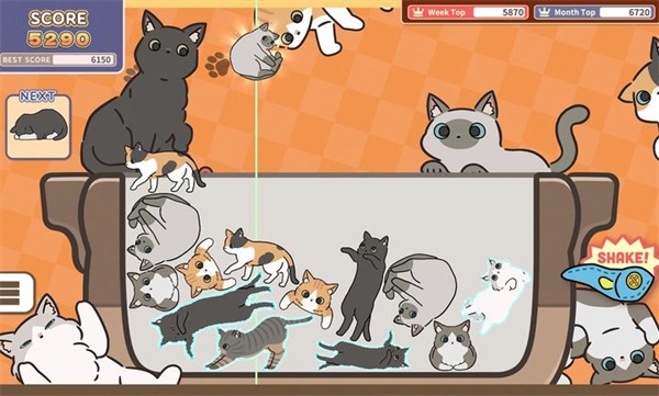 猫咪三重奏手机版免费下载