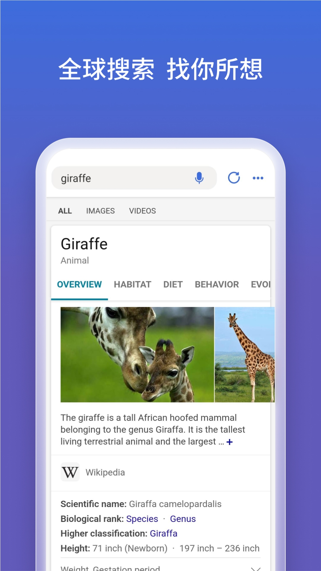 微软必应官网下载app国际版