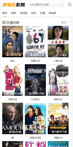 野菊花影视app下载