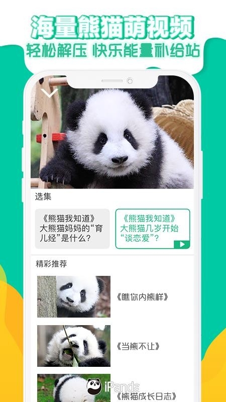 熊猫频道最新版下载