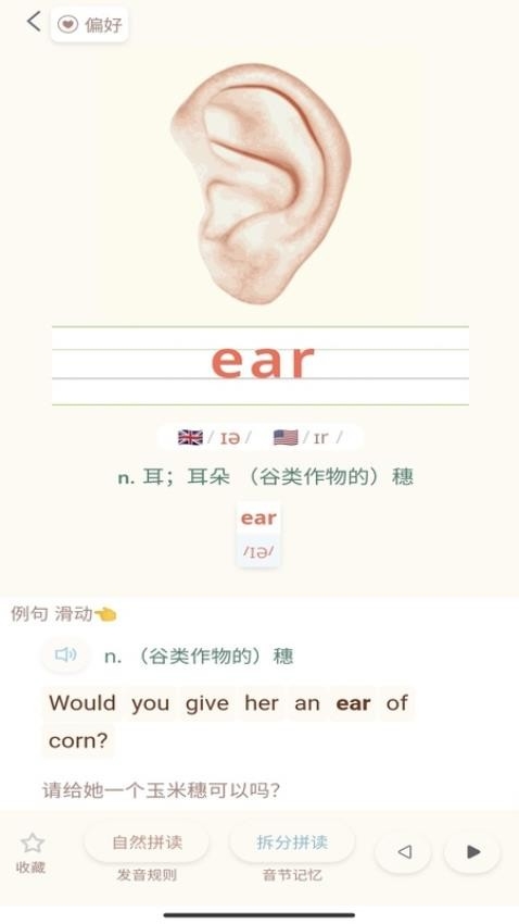 轻记单词 app下载安装