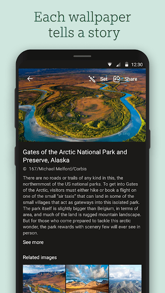 必应每日壁纸官网版