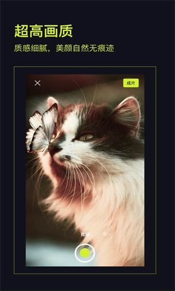 开拍app下载免费版