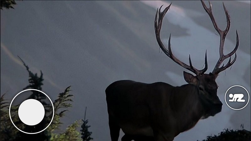 恐怖森林猎人手机版下载