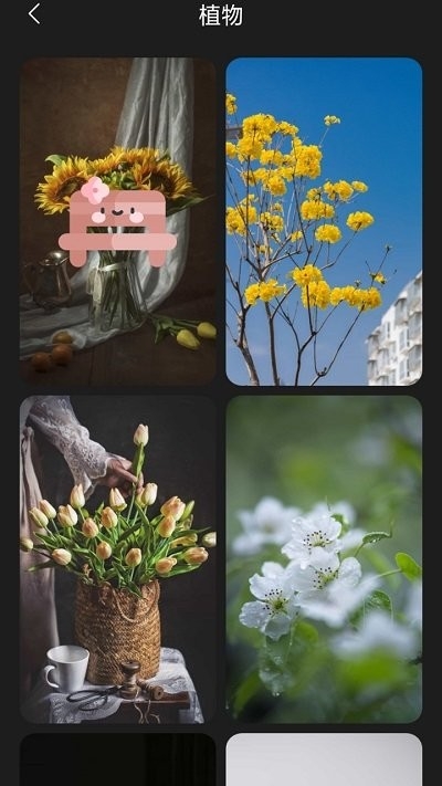 一加壁纸手机版下载