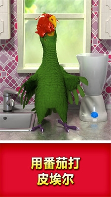 会说话的鹦鹉下载