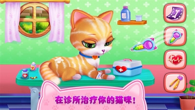猫咪之恋手机版下载