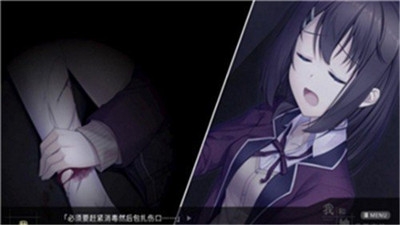 我和她的世界末日正版下载