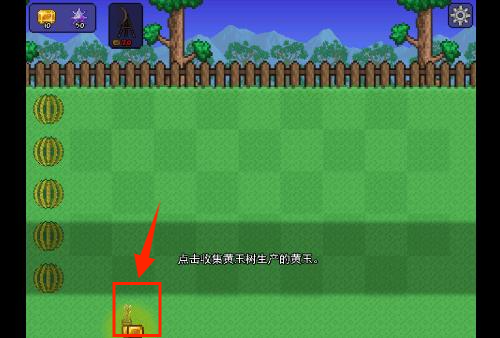 泰拉之园最新版下载