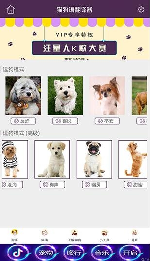 猫狗语翻译器官方版下载