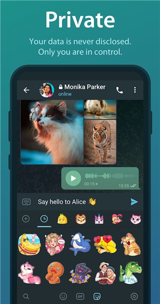 飞机telegeram安卓最新下载