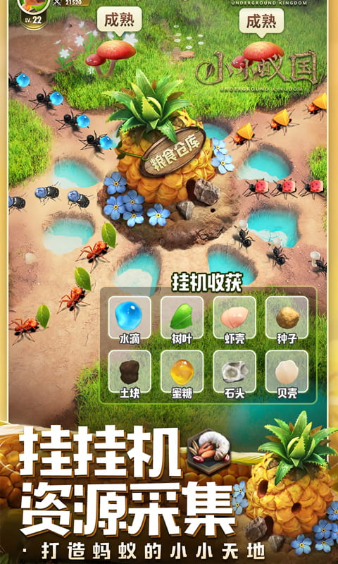 小小蚁国最新版