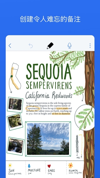 Notability官方正版