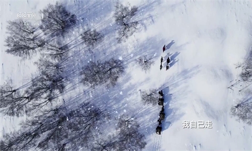 小飞电视直播TV版