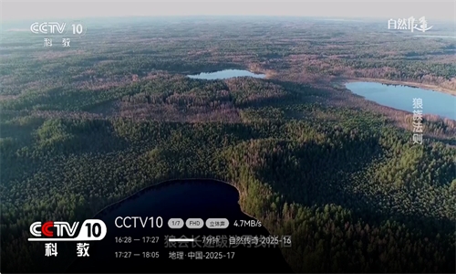 小飞电视直播TV版