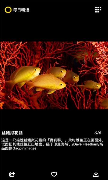 每日精选app下载最新版