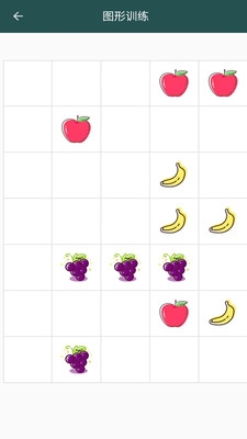 照相机记忆训练app