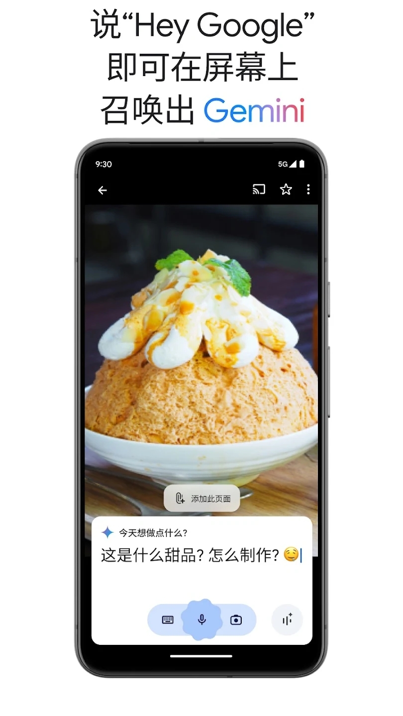Gemini2.5下载安卓版