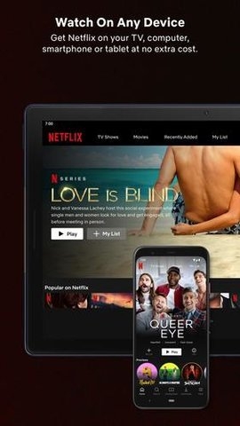 奈飞netflix官网中文版