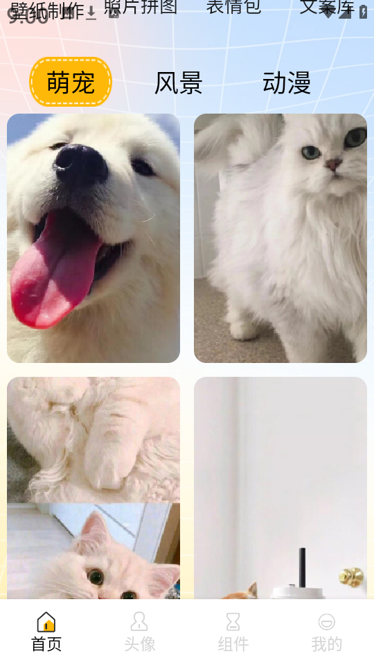 遇榶壁纸app最新版