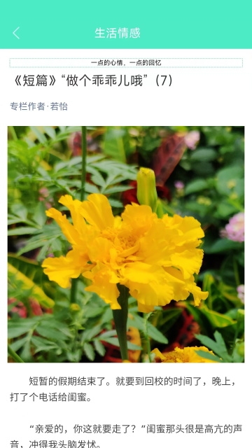 天天日历最新版