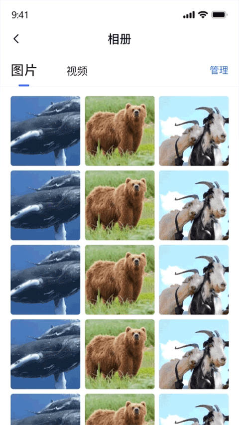 密盒虚拟机2025最新版