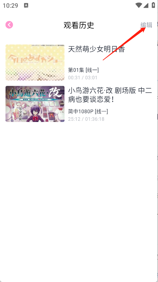29110040qonu.png