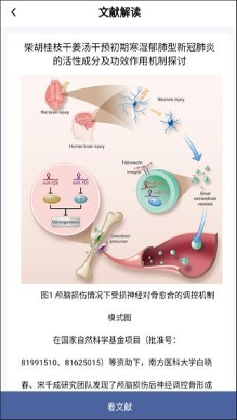 pubmed汉化版