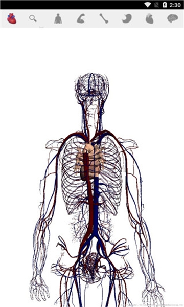 谷歌人体浏览器下载安卓版