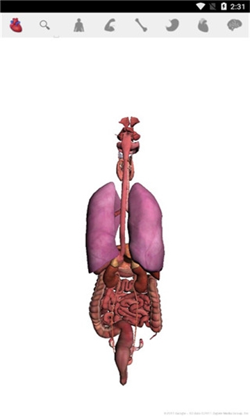 谷歌人体浏览器下载安卓版