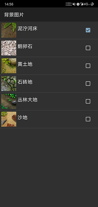 021146129yfh.jpg