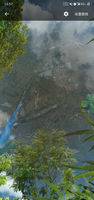 鱼池动态壁纸已付费版